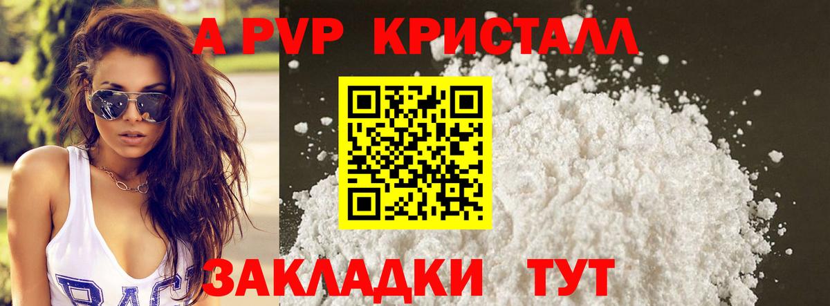 МЕФ Великий Новгород