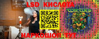 гидропоника Апшеронск