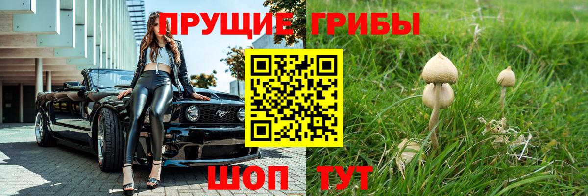 Псилоцибиновые грибы мухоморы Великий Новгород